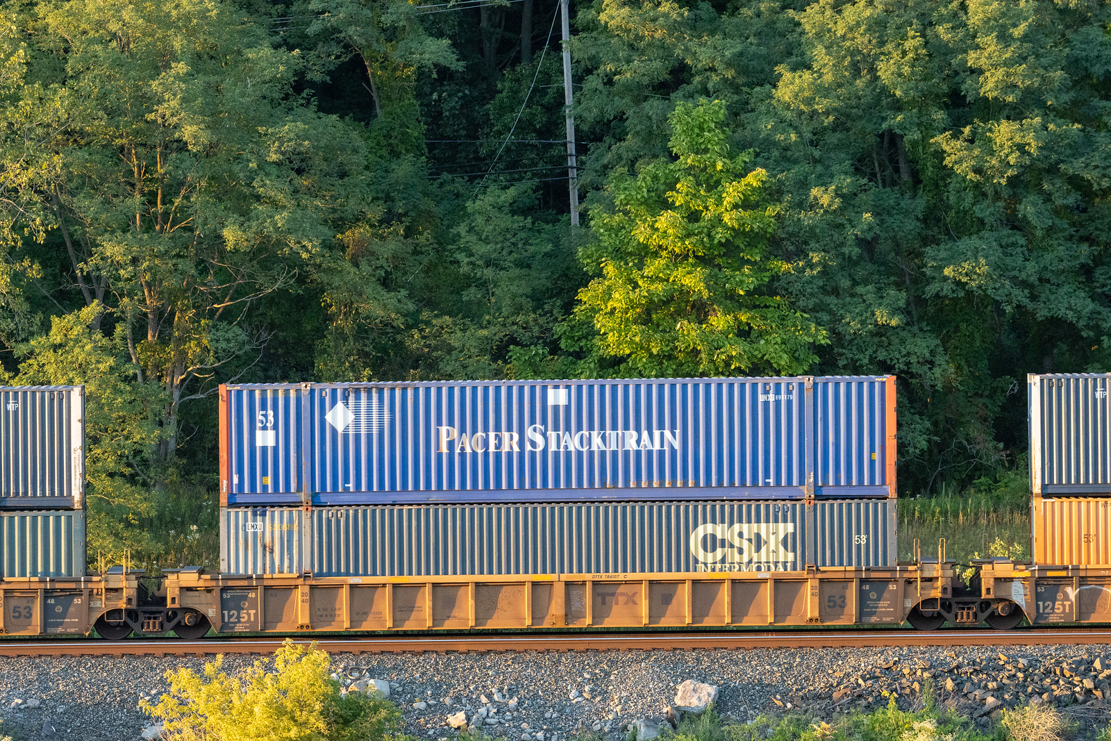 DTTX 786107C