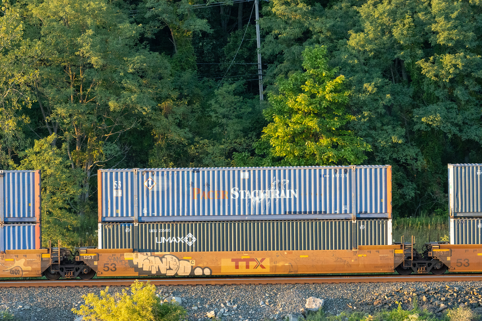 DTTX 732456C