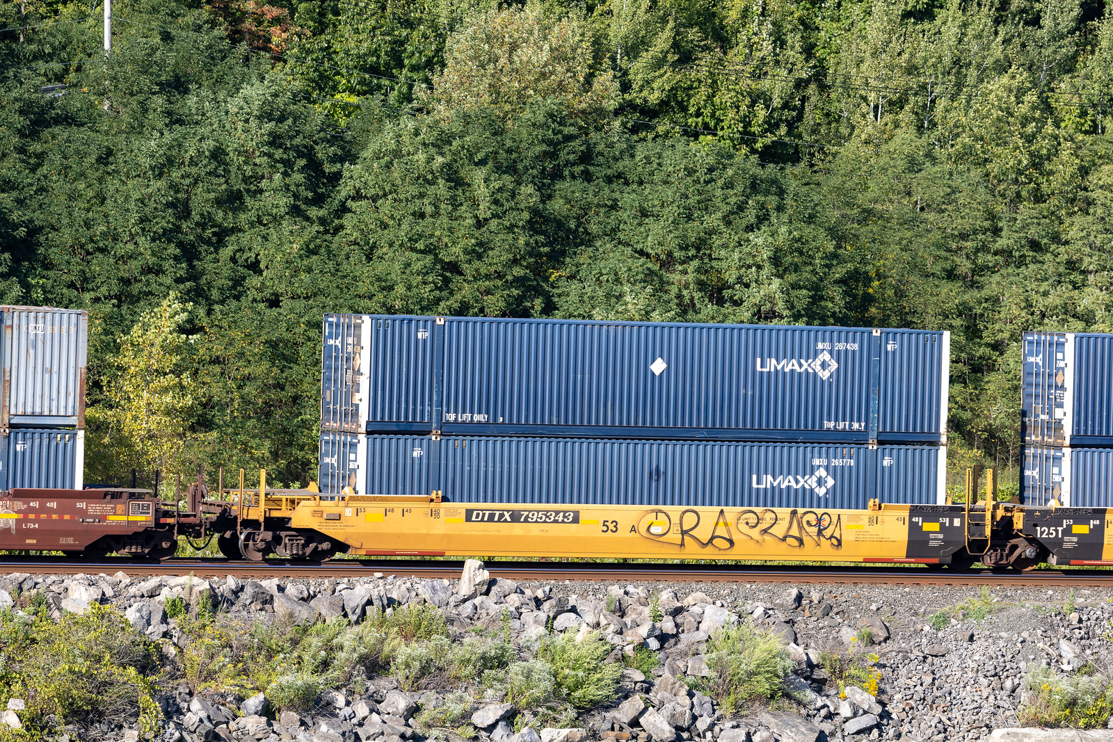 DTTX 795343A