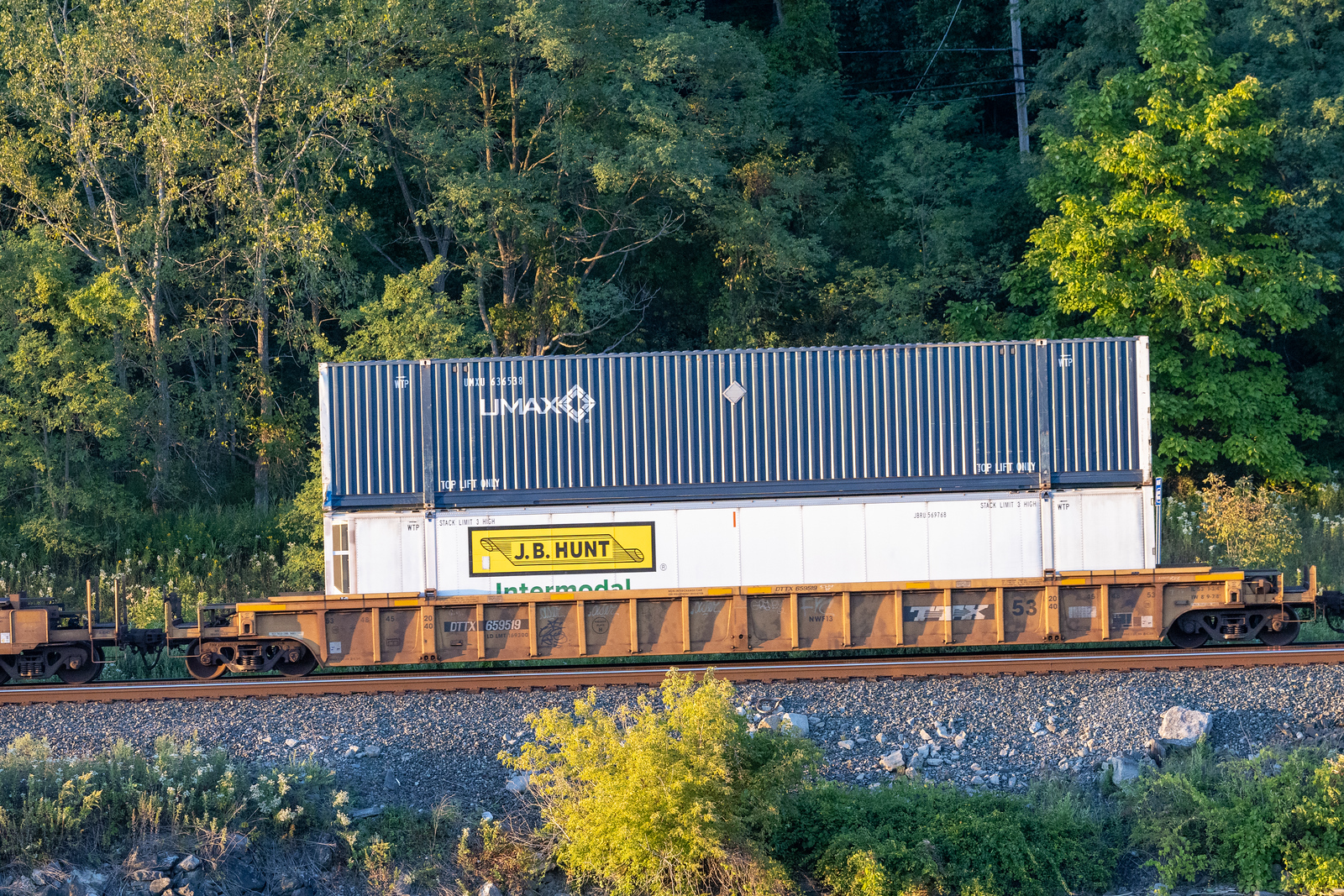 DTTX 659519