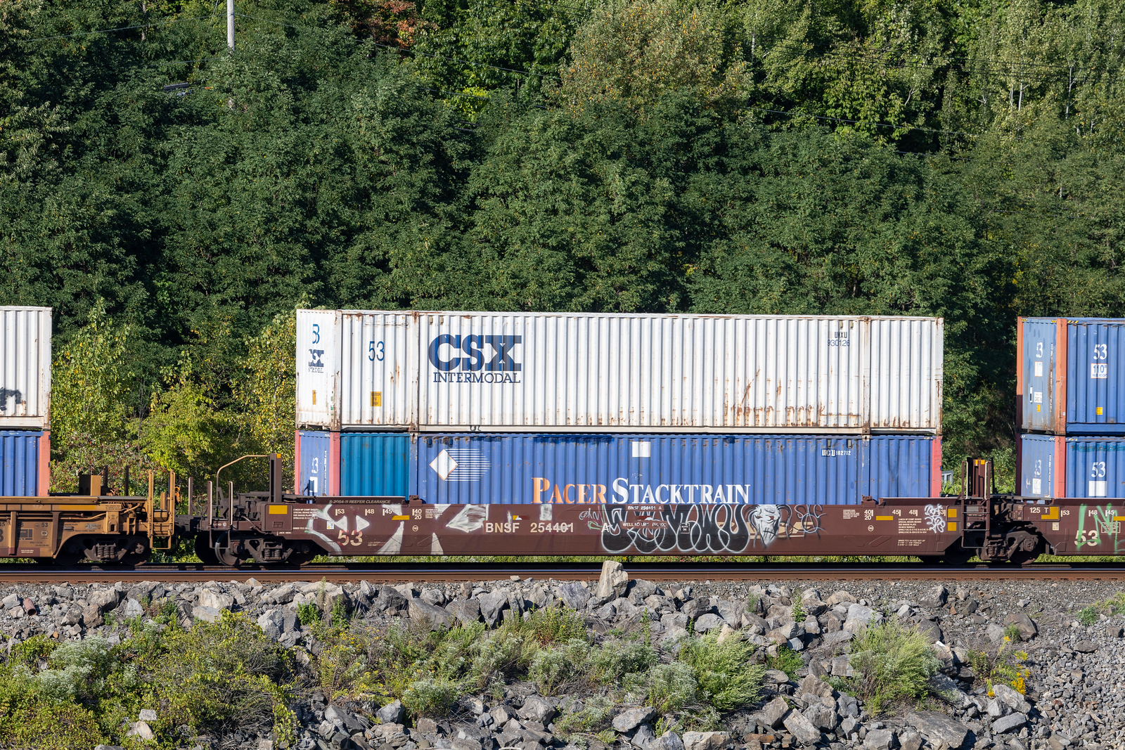 BNSF 254401A