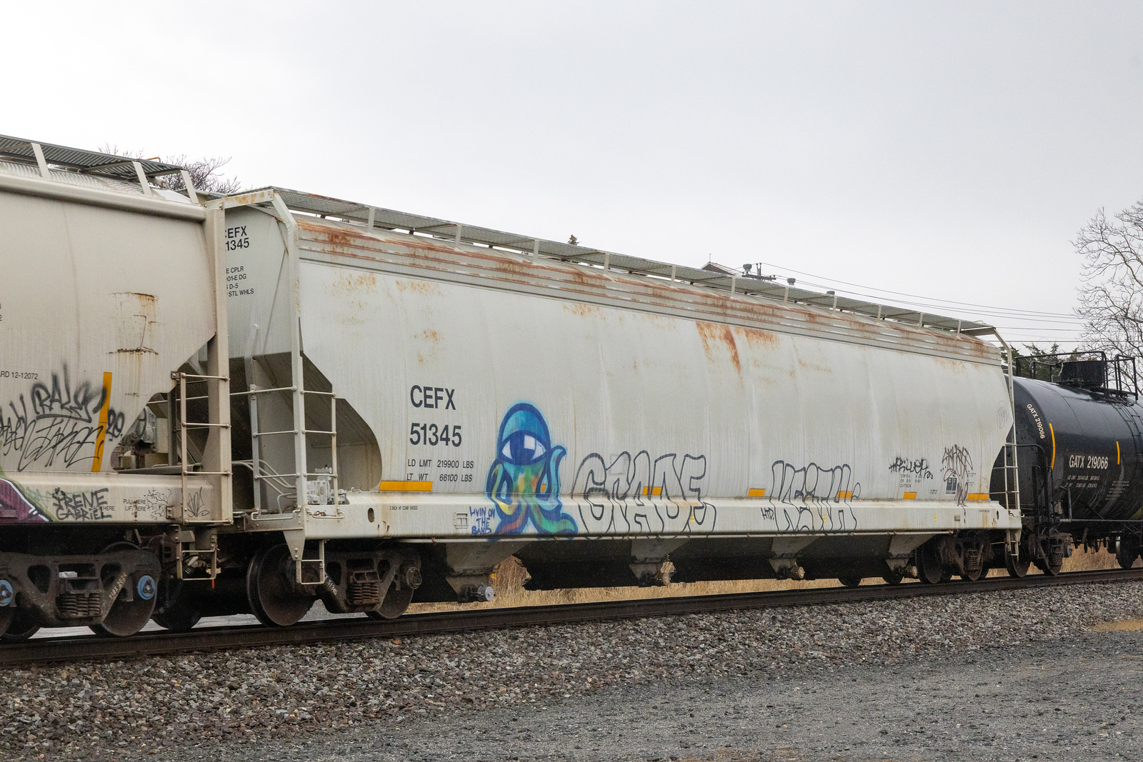 CEFX 51345
