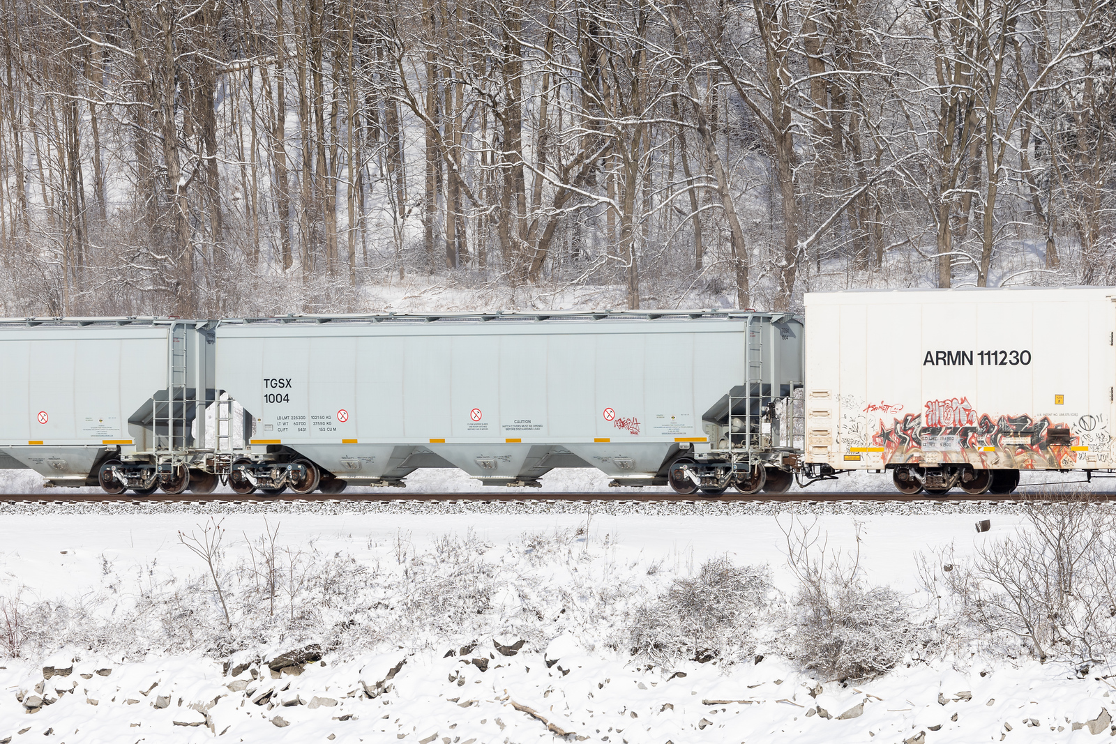 TGSX 1004