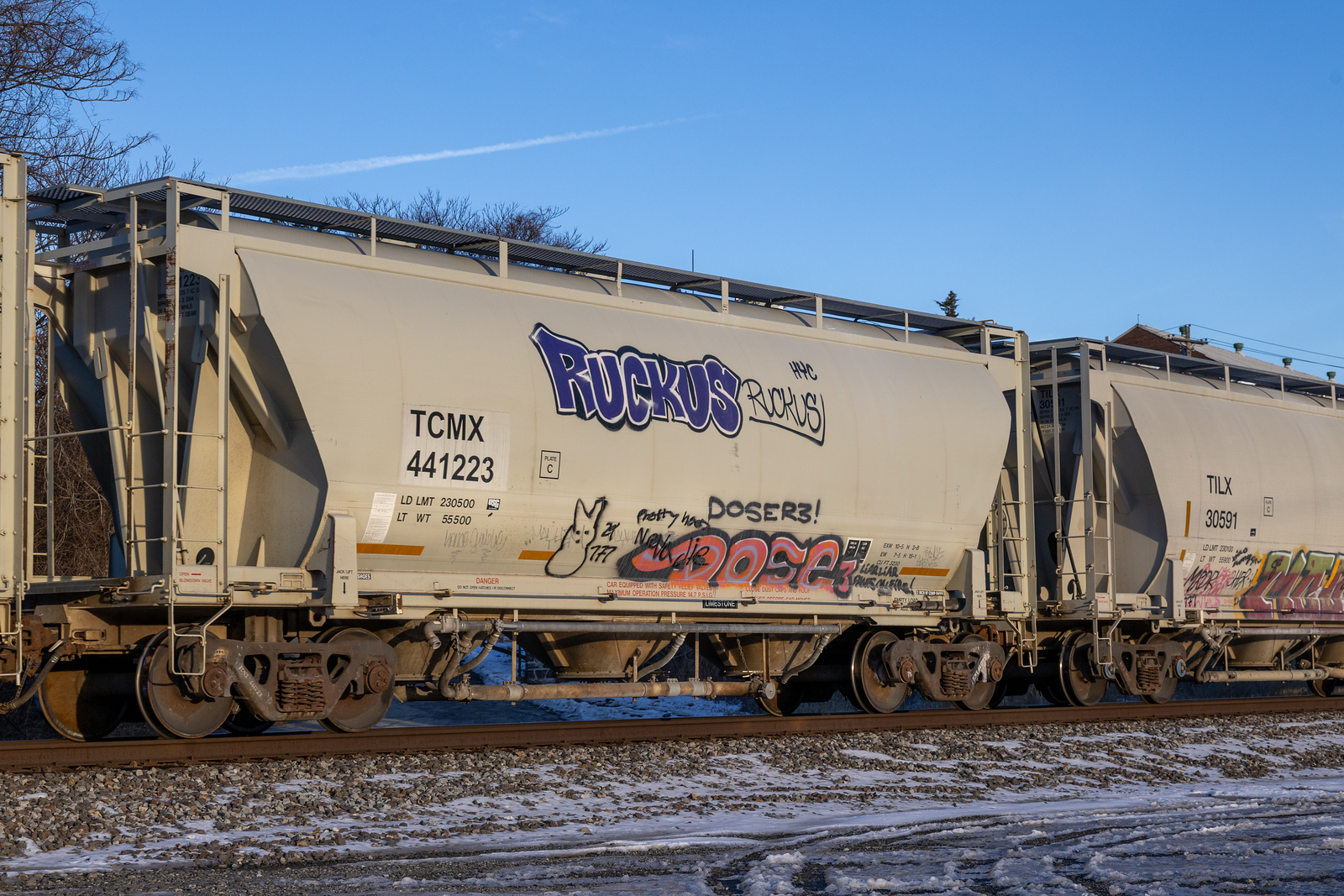 TCMX 441223