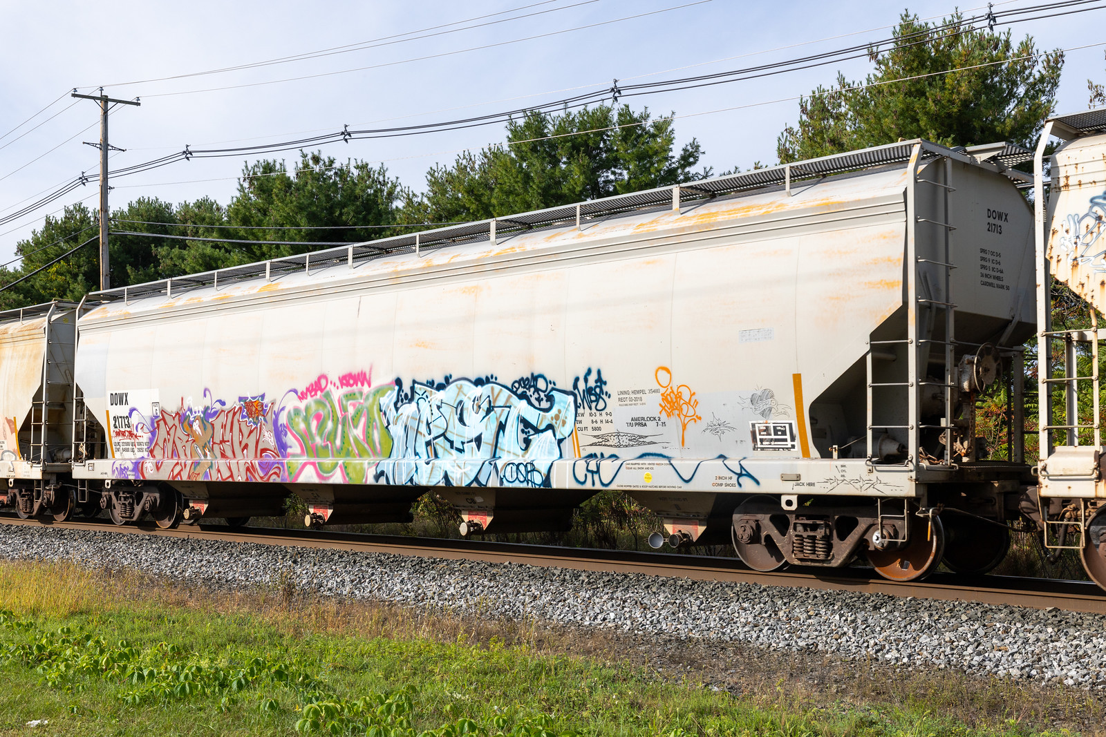 DOWX 21713