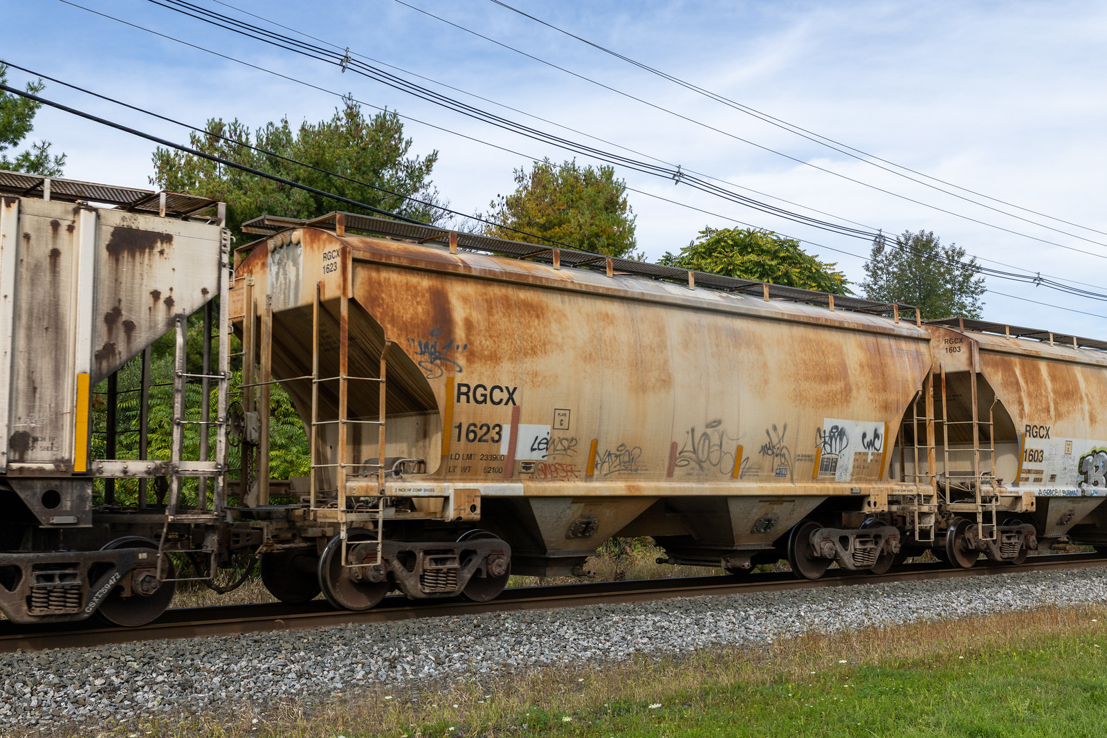 RGCX 1623