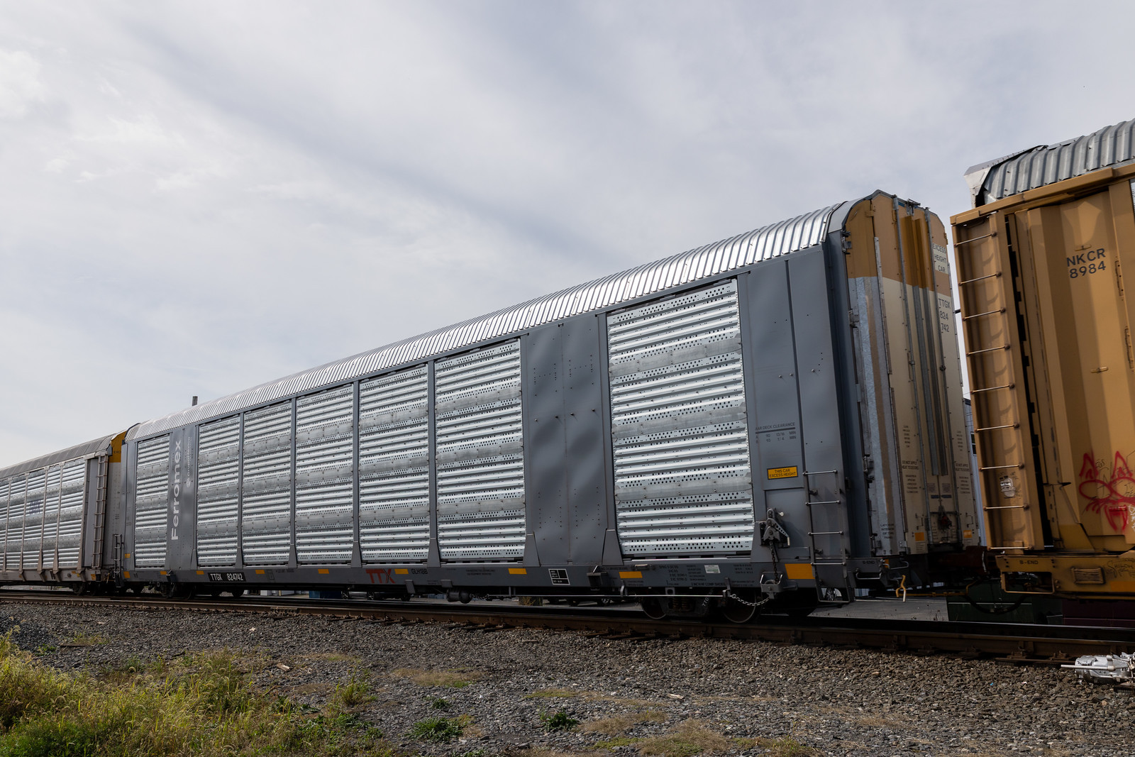 TTGX 824742