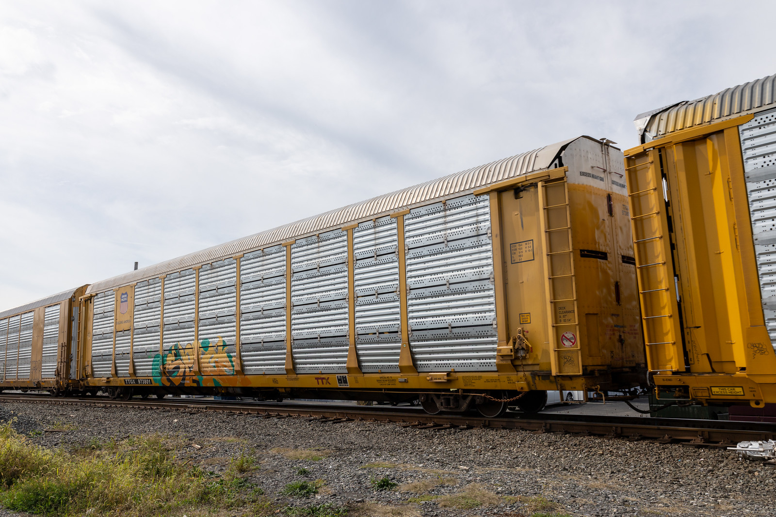 TTGX 973801
