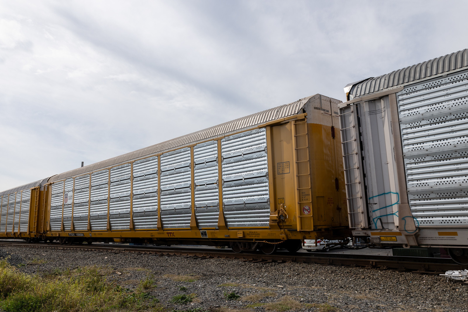 TTGX 159584