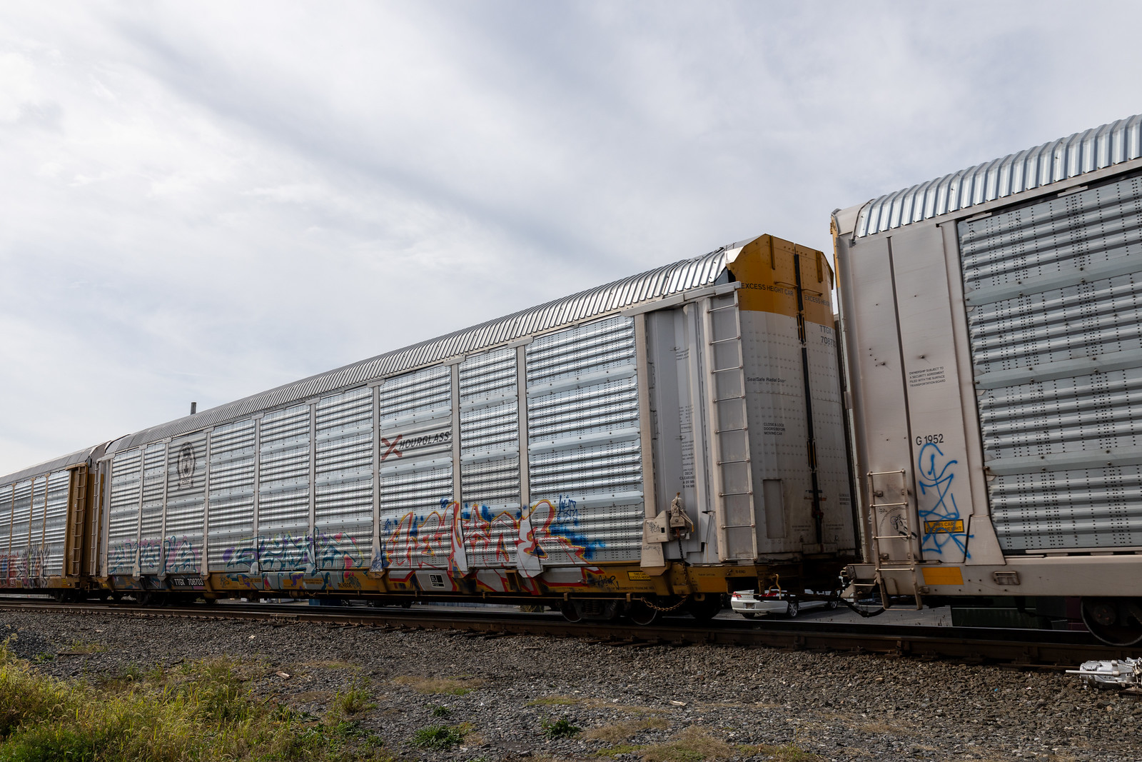 TTGX 708703