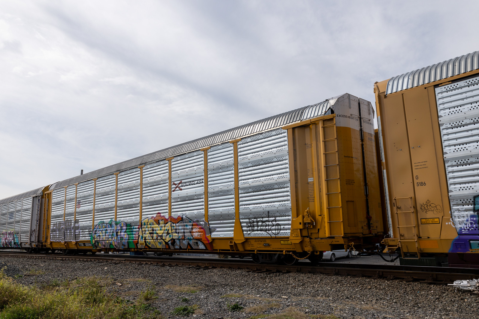 TTGX 835164
