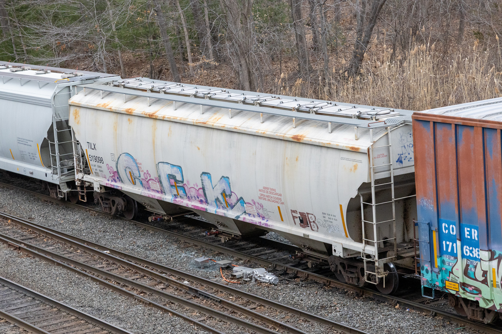TILX 519098