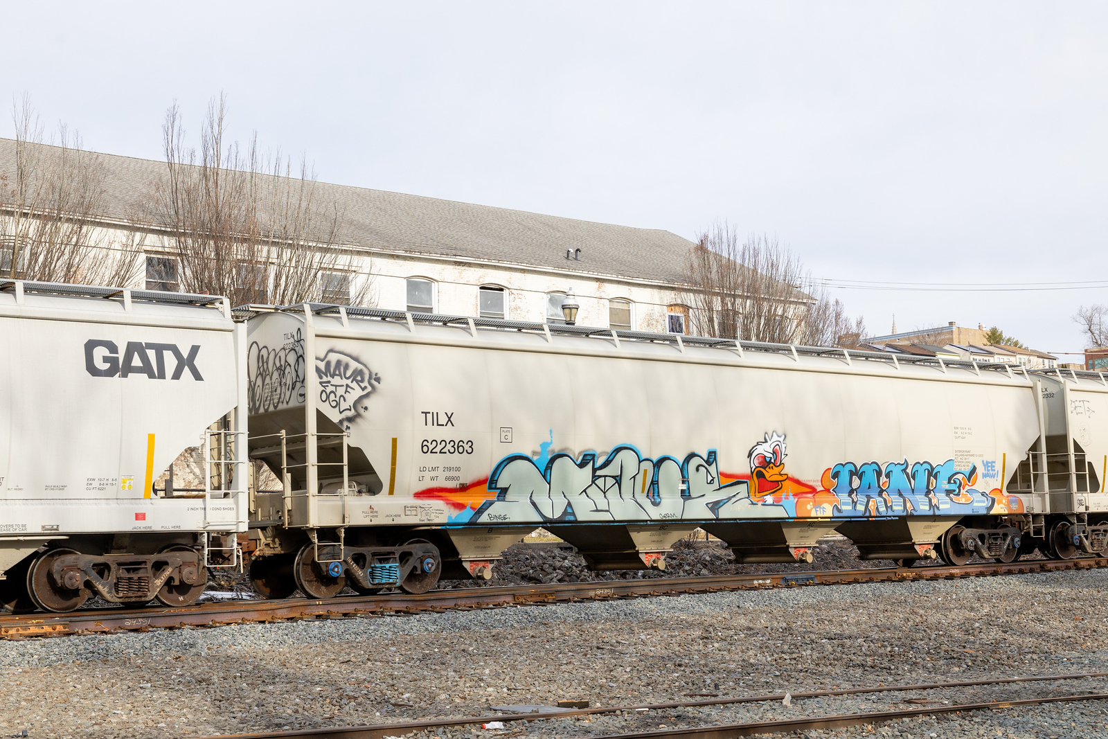TILX 622363
