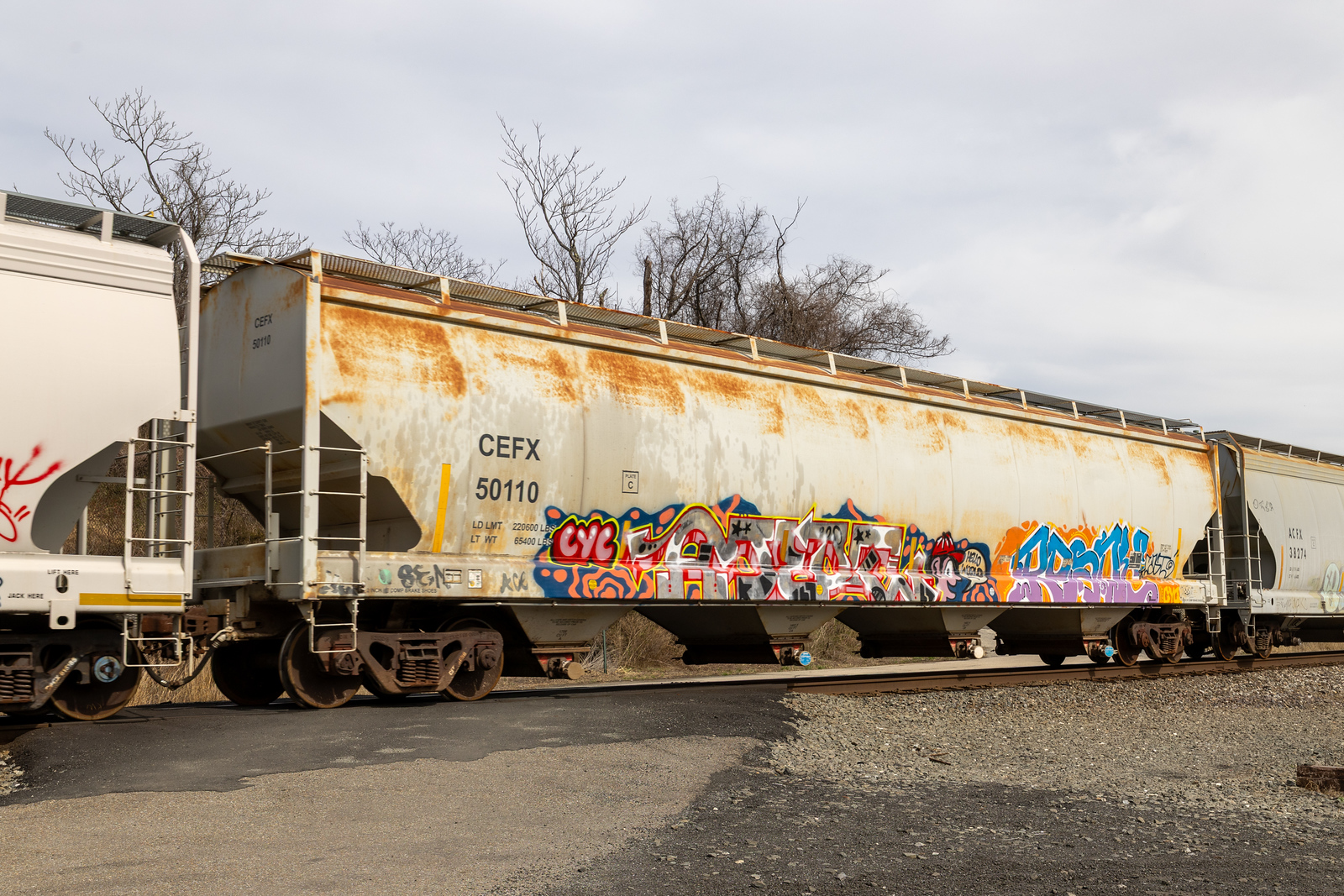 CEFX 50110