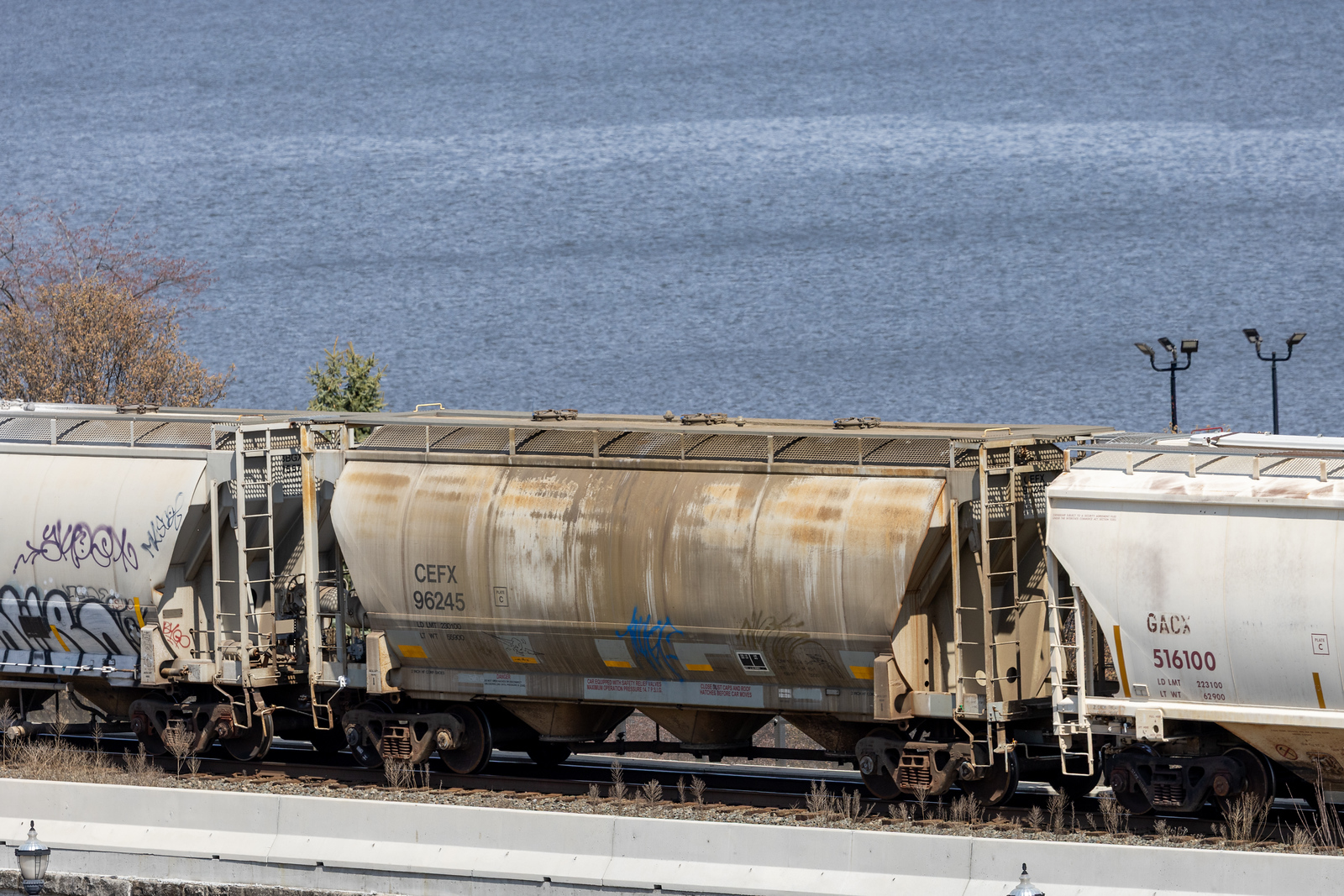 CEFX 96245