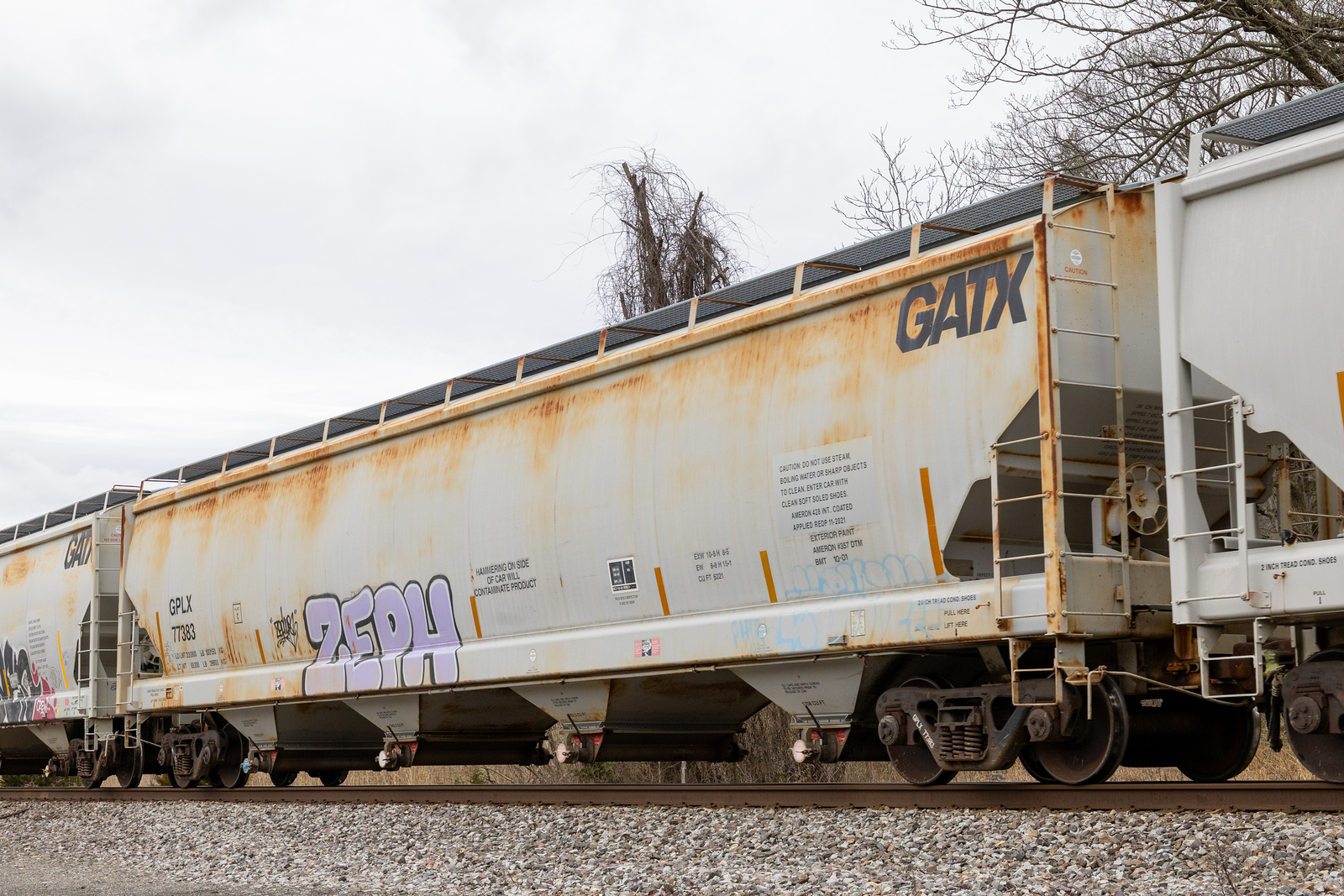 GPLX 77383