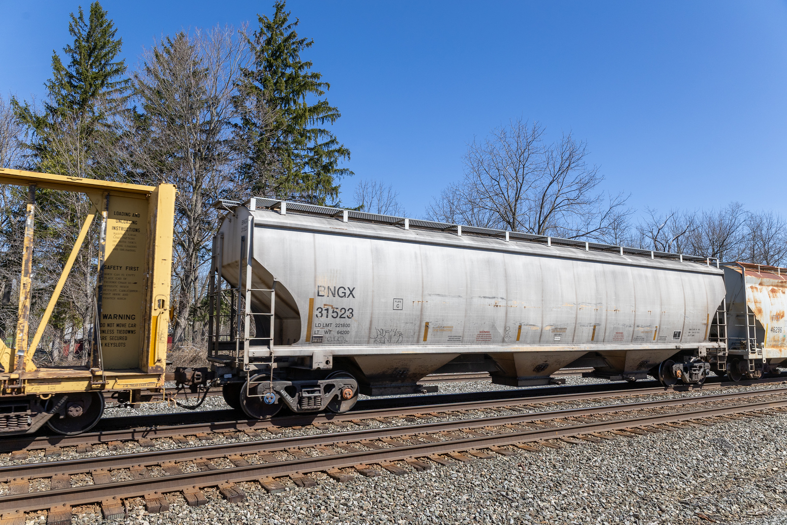 BNGX 31523
