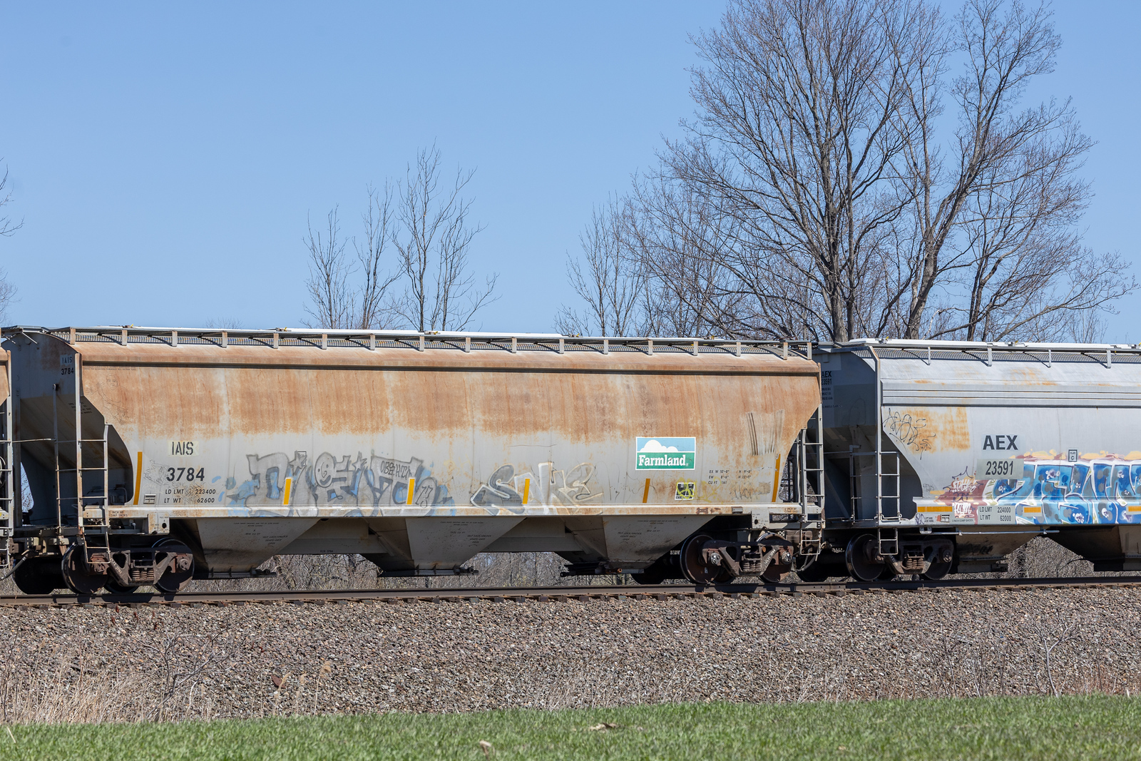 IAIS 3784