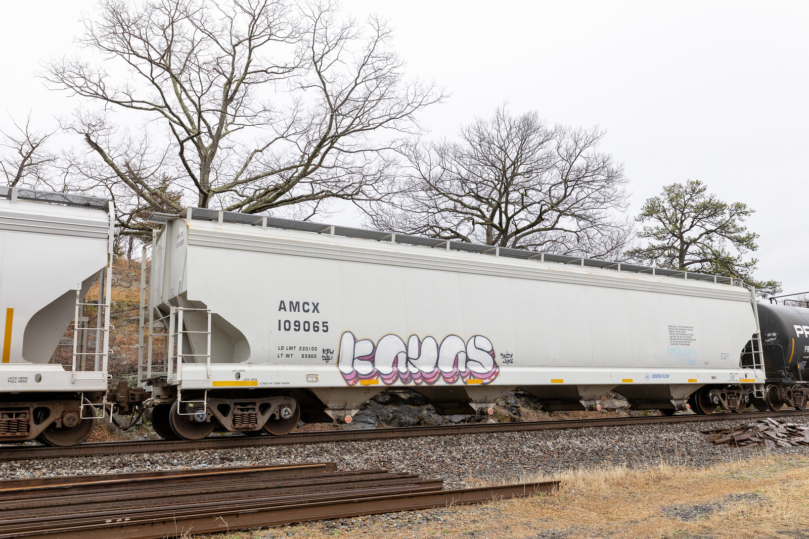 AMCX 109065