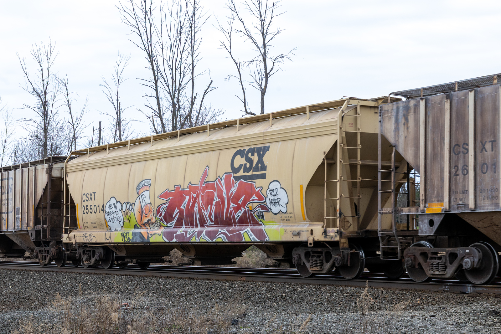 CSXT 255014