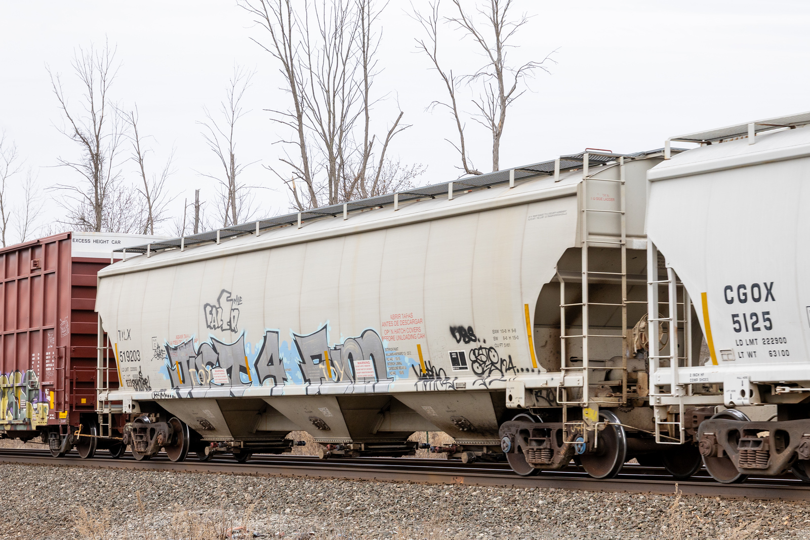 TILX 519203