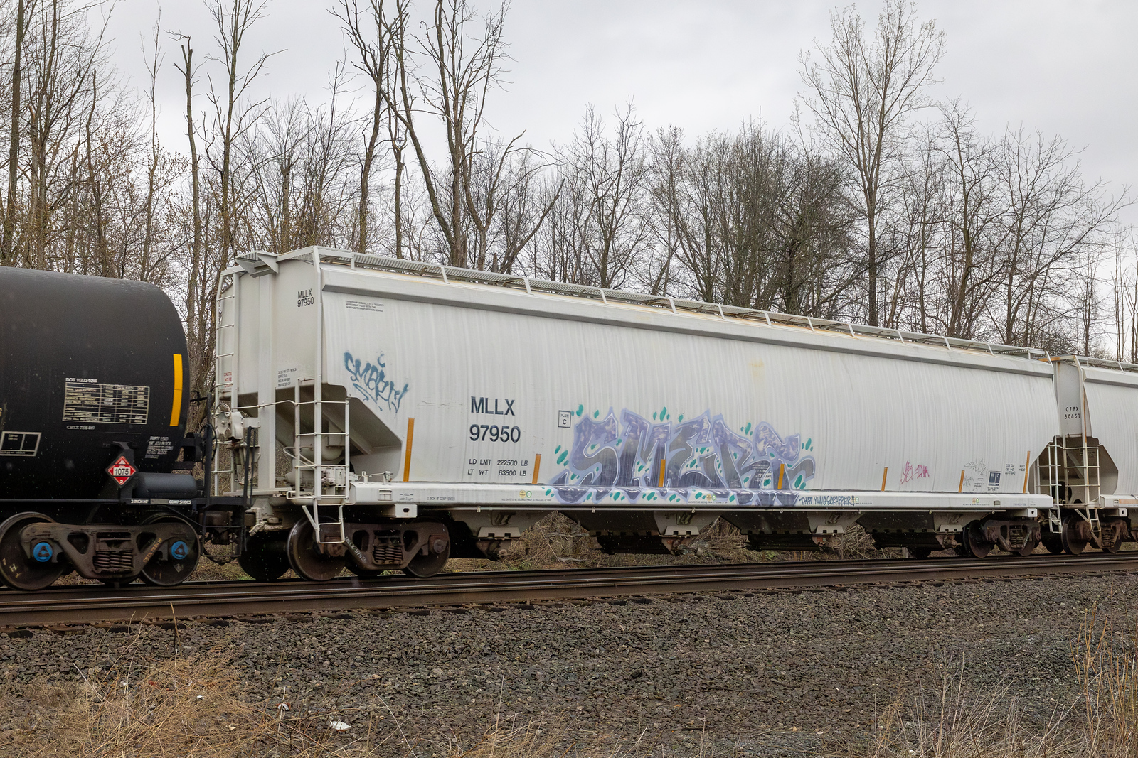 MLLX 97950