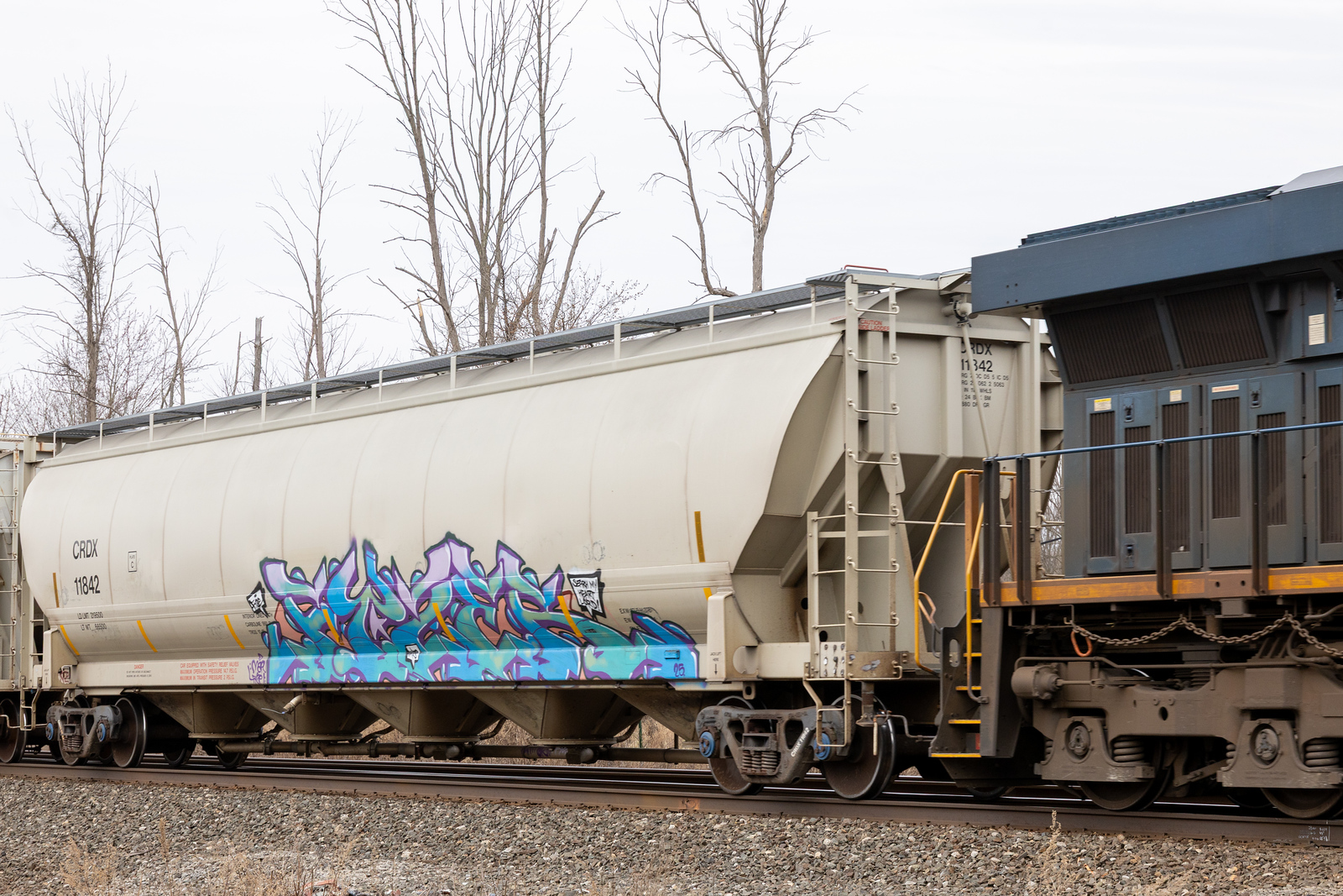 CRDX 11842