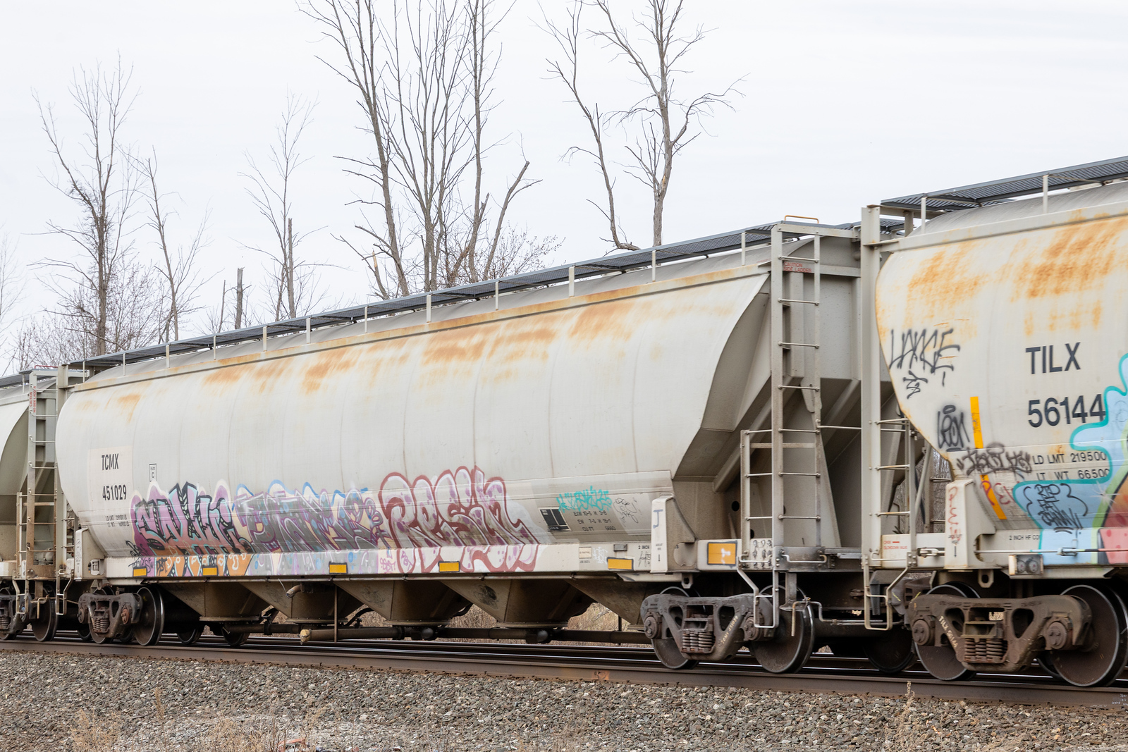 TCMX 451029