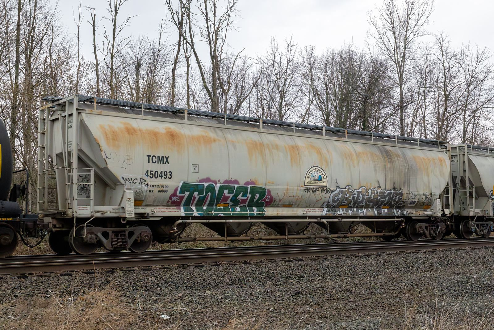 TCMX 450493