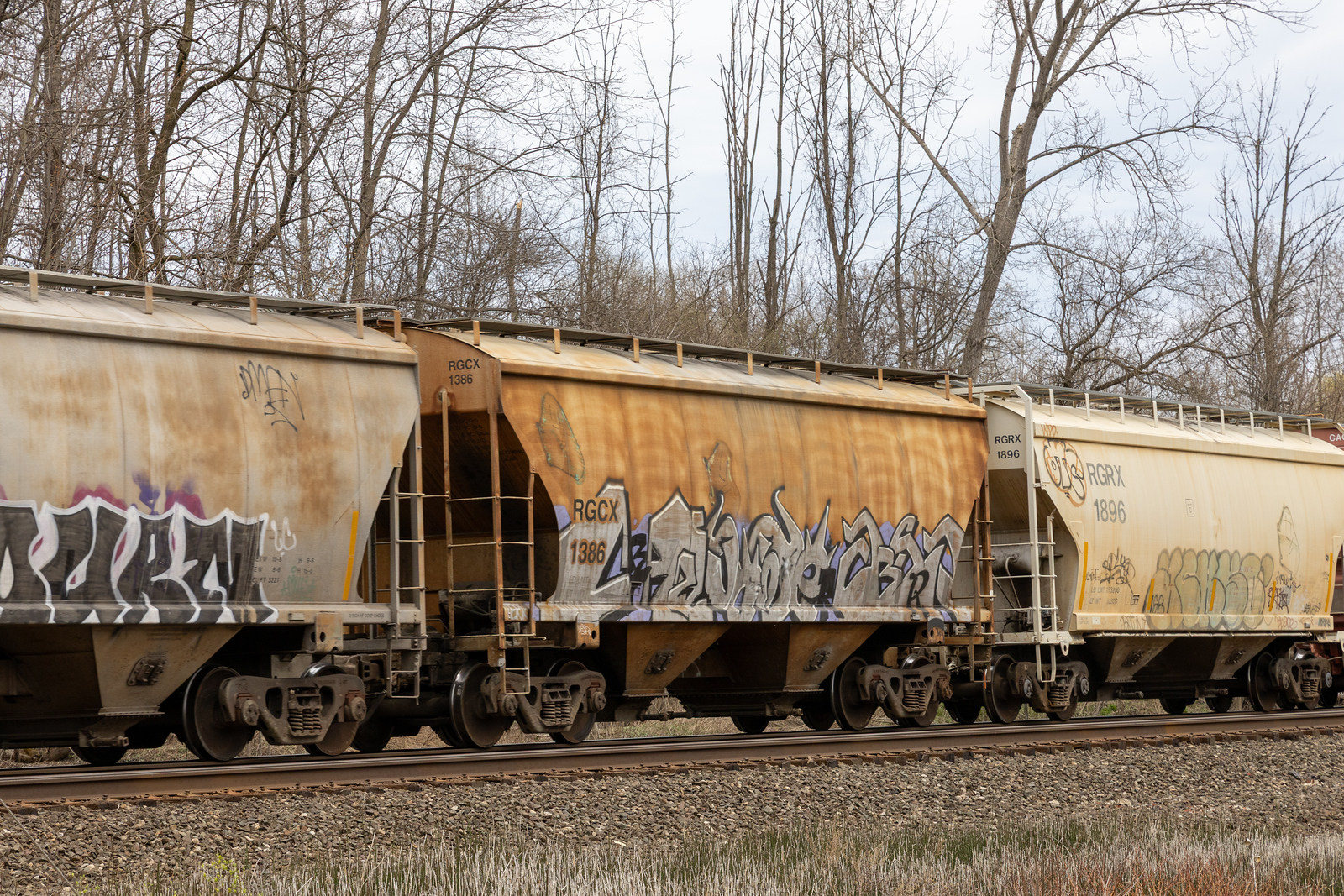 RGCX 1386
