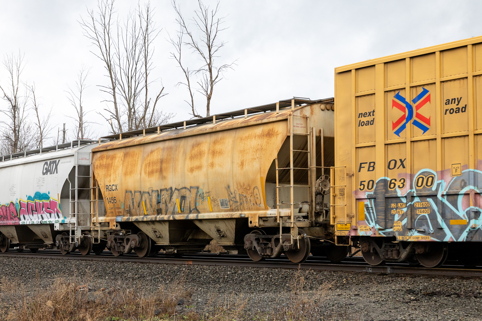 RGCX 1456