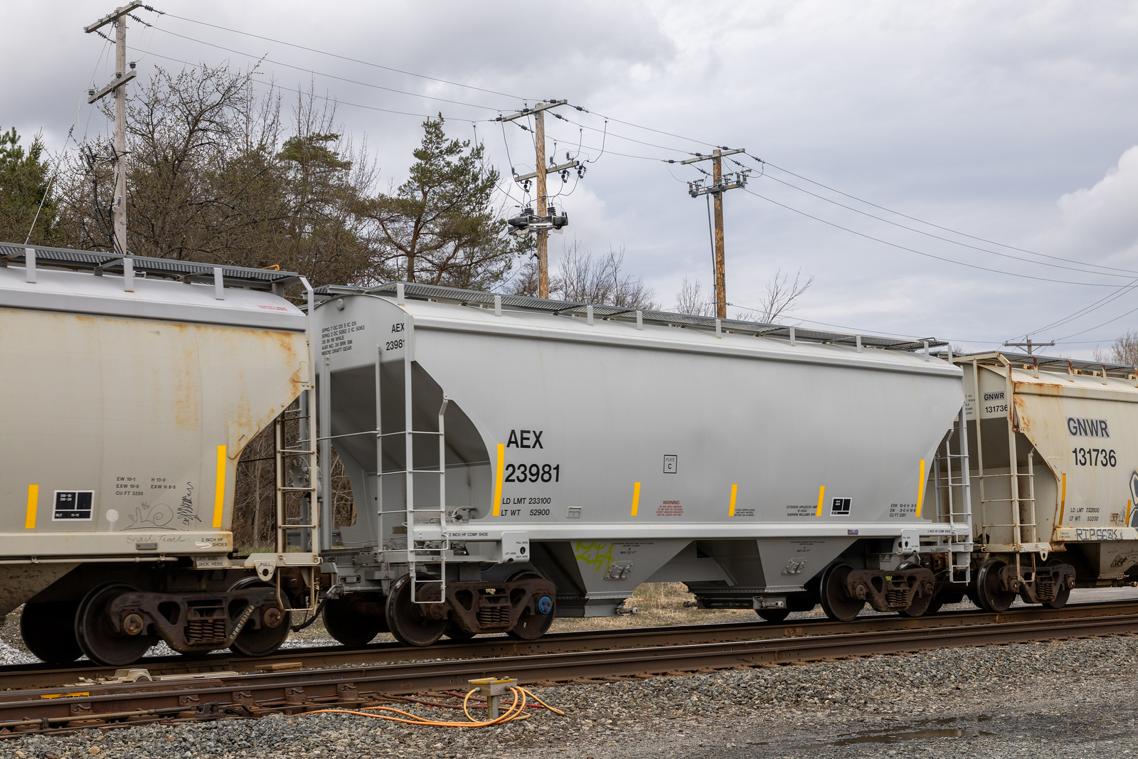 AEX 23981