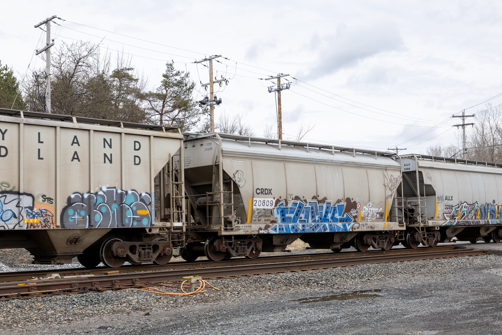 CRDX 20609