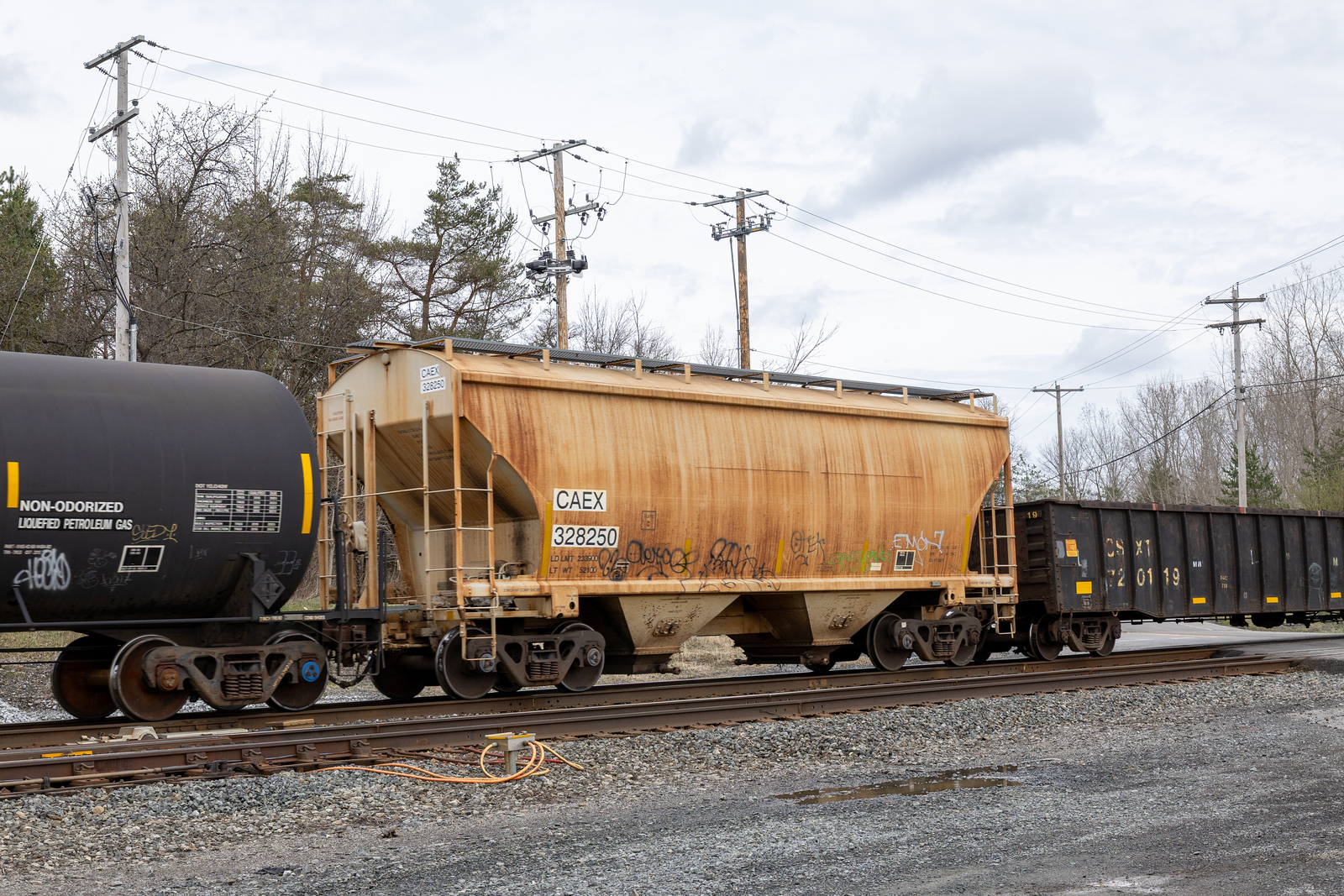 CAEX 328250