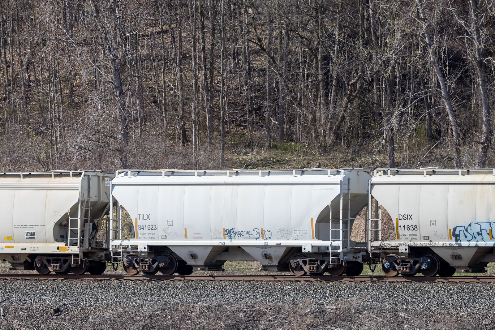 TILX 341623
