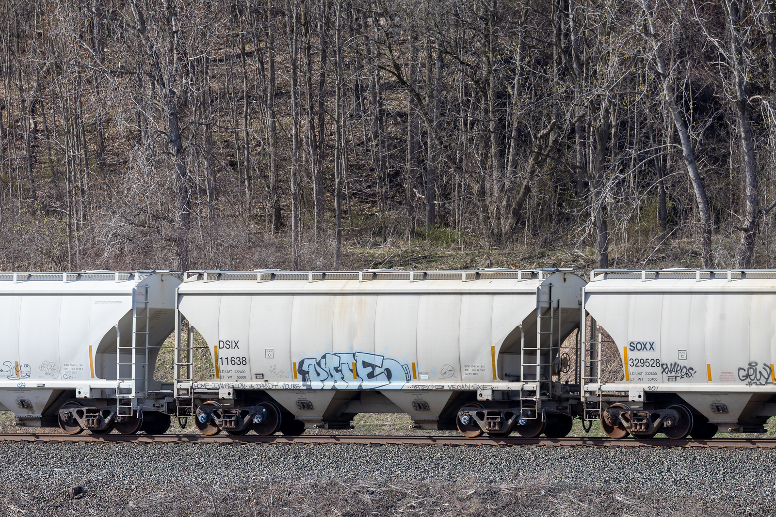 DSIX 11638
