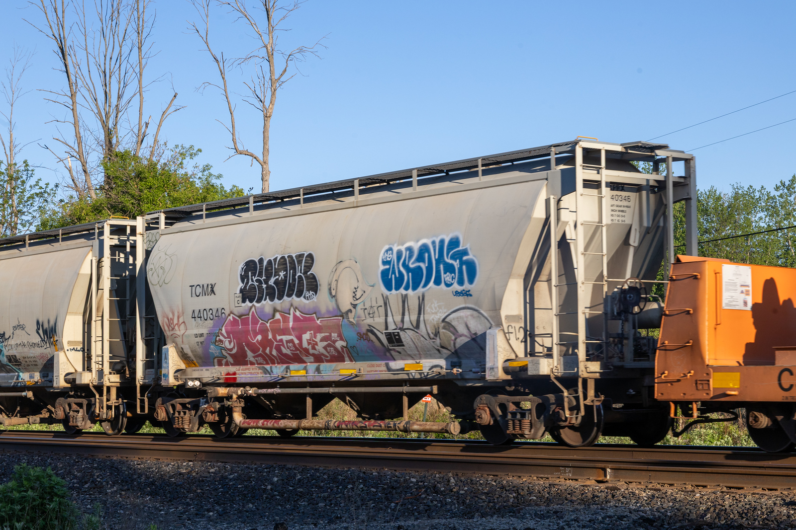 TCMX 440346
