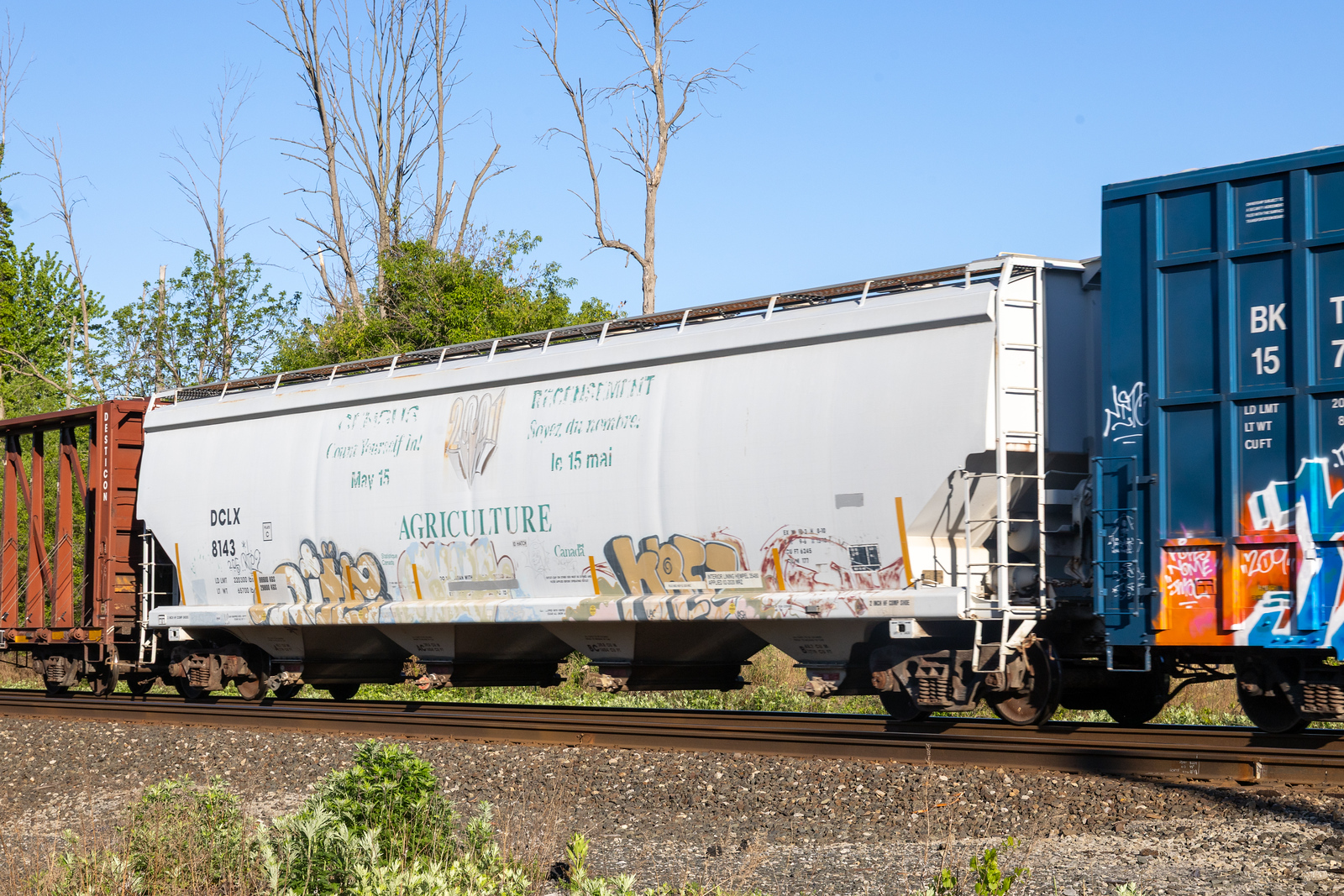 DCLX 8143
