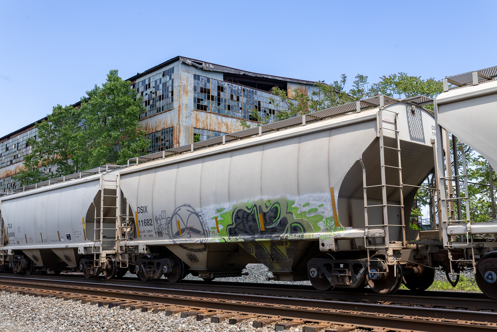DSIX 11682