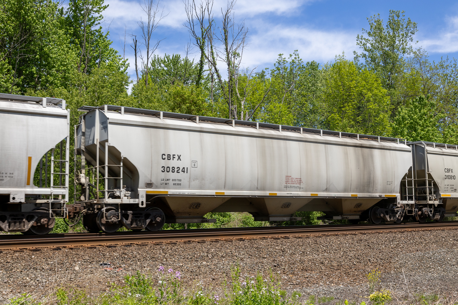CBFX 308241