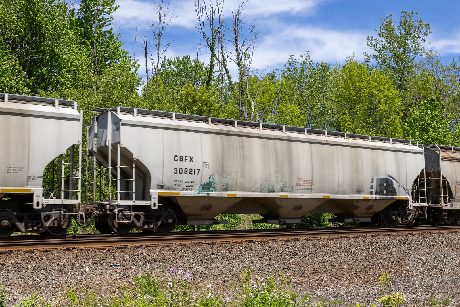 CBFX 308217