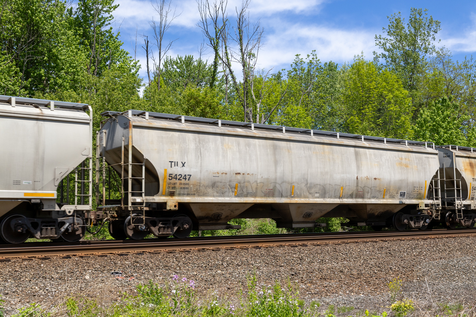TILX 54247
