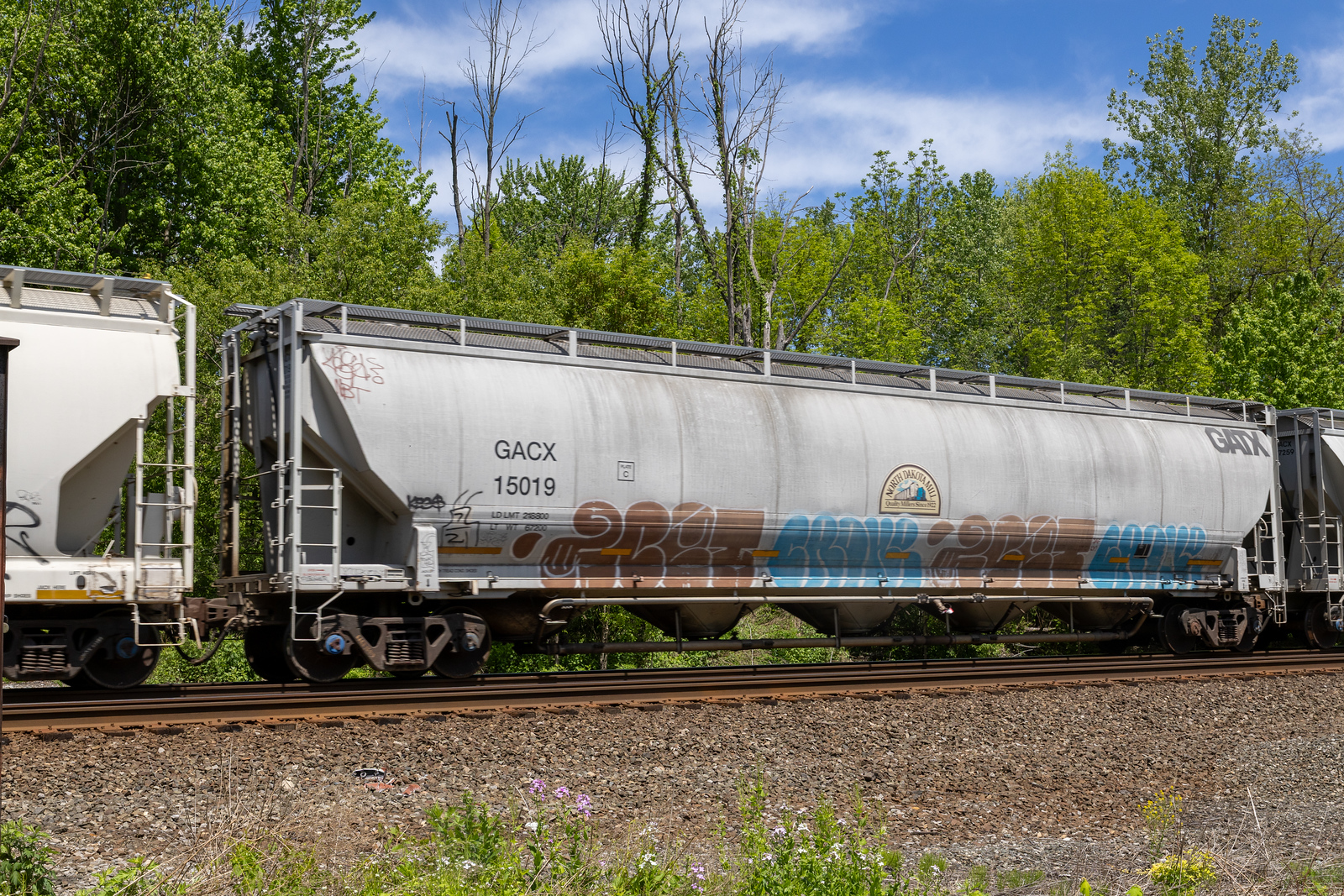 GACX 15019