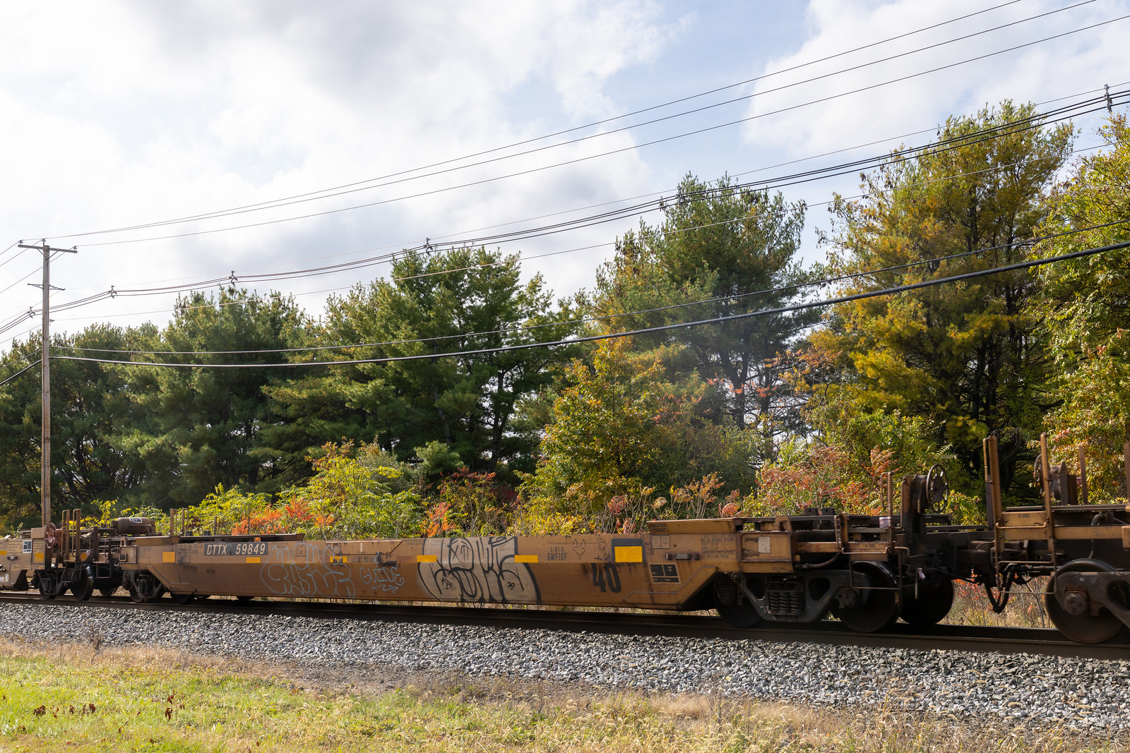 DTTX 59849