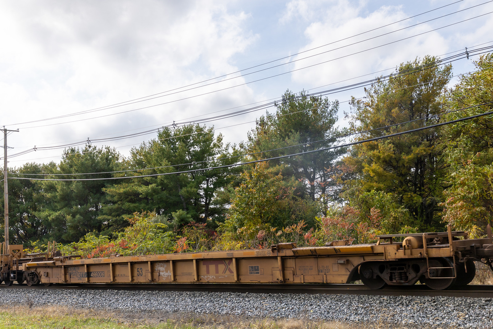 DTTX 466006