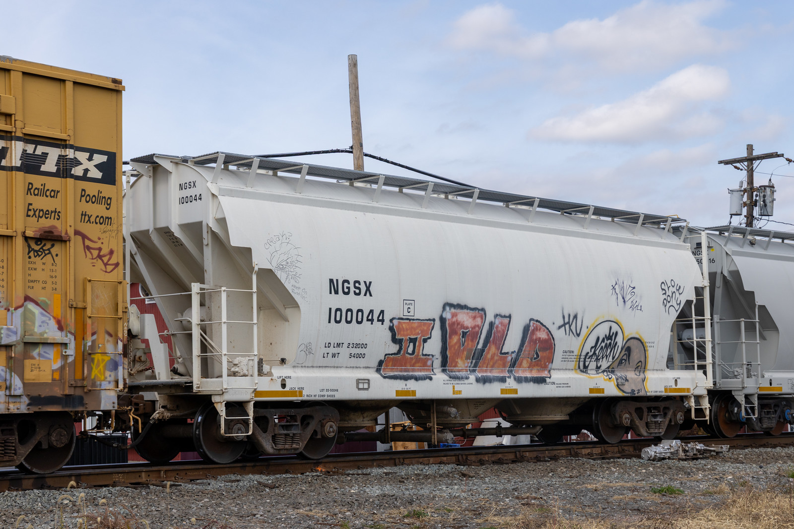 NGSX 100044