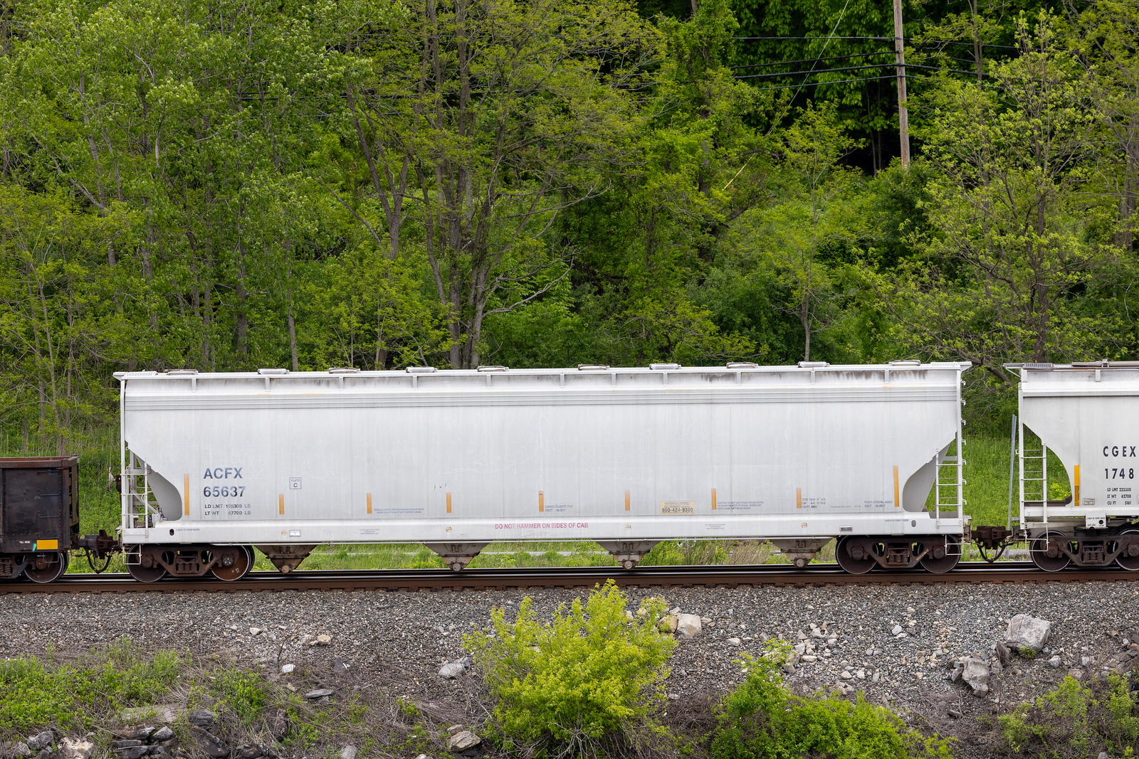 ACFX 65637