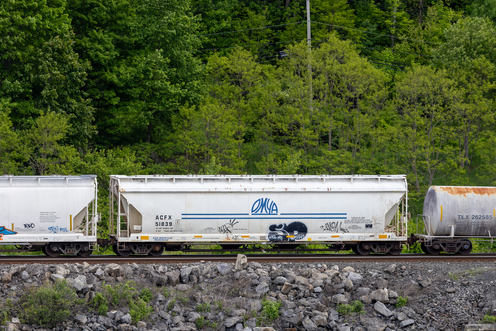 ACFX 51839