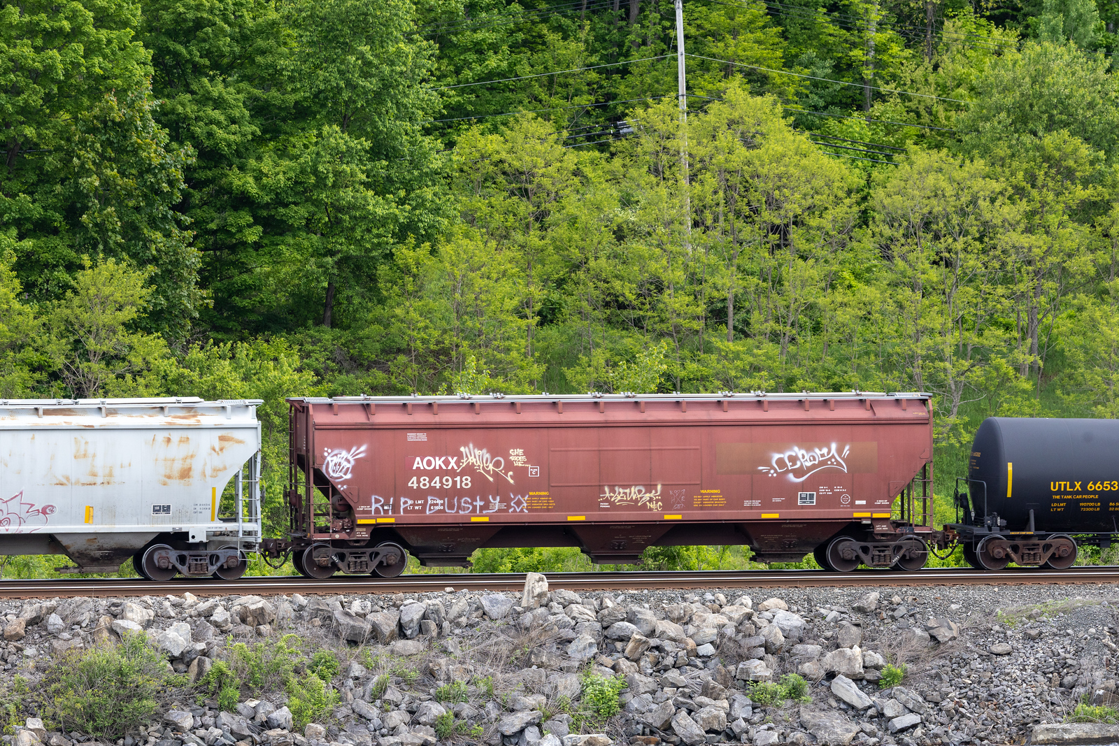 AOKX 484918