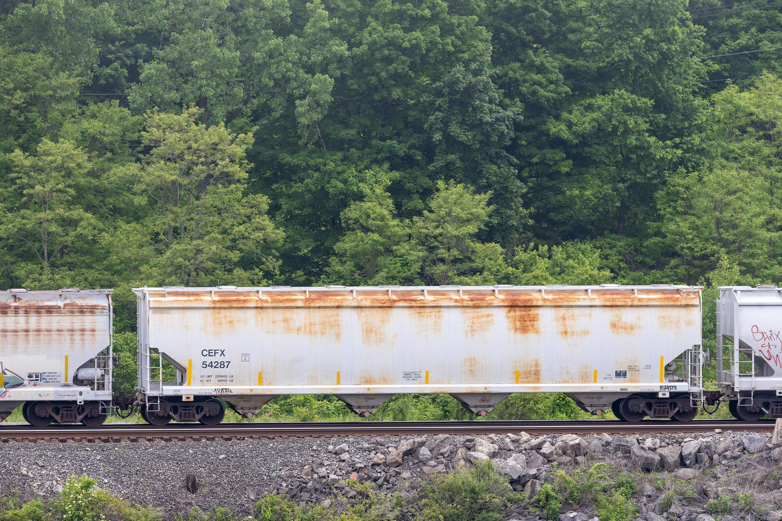 CEFX 54287